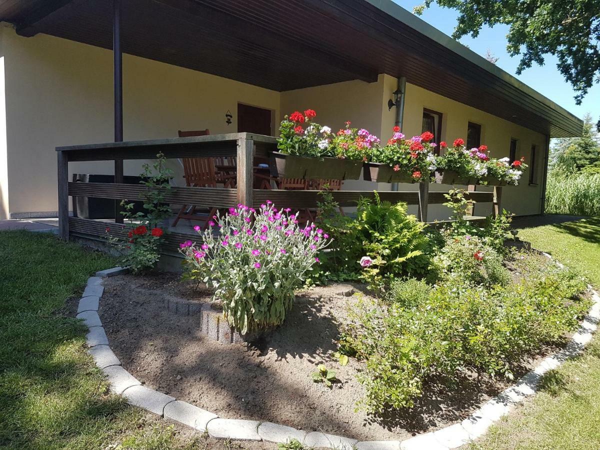 Ferienwohnung Ferienwohnanlage Am Bernsteinsee Dierhagen Exterior foto